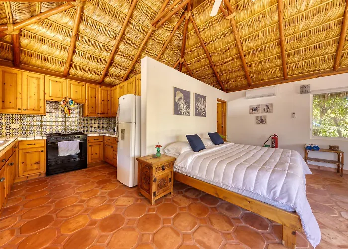 Dive House By Elite Destination Homes Holiday home Cabo Pulmo